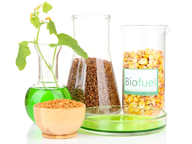 Ensuring bio fuel commercialization is sustainable.