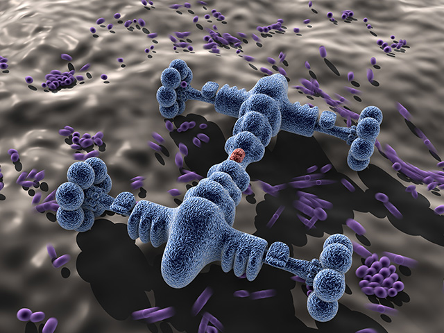 Nano technology for a sustainable future.