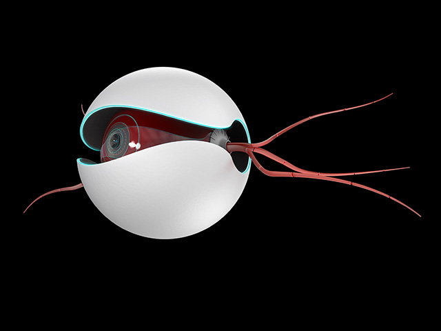 Nano bots are an application of nano technology to enable sustainable systems.