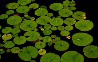 Make Your Problem Bigger