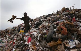 Laudato_Si_Article-1