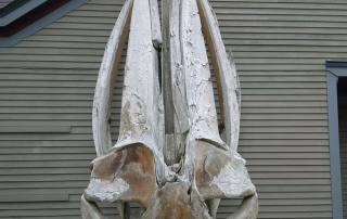 Cycle of Abundance - Dr John Elter - Zero To Landfill Pioneer