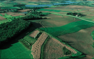 Regenerative Agriculture Sustainable Systems Farming